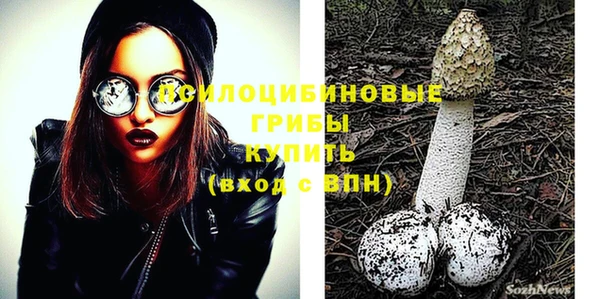 спайс Новодвинск