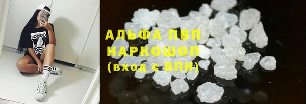 эйфоретик Няндома
