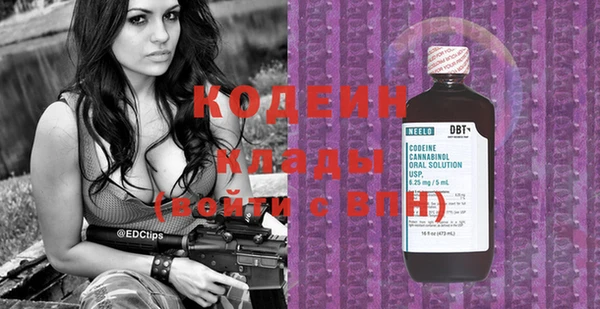 крисы Новозыбков