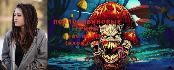 крисы Новозыбков