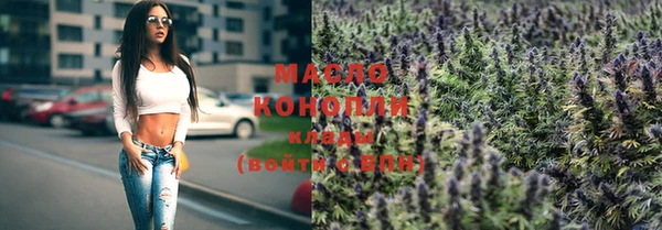 эйфоретик Няндома