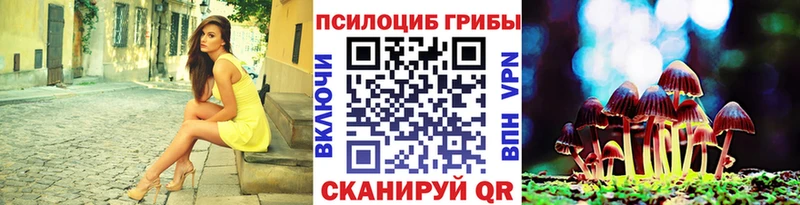 Псилоцибиновые грибы Psilocybe  Купить закладки  Оса 